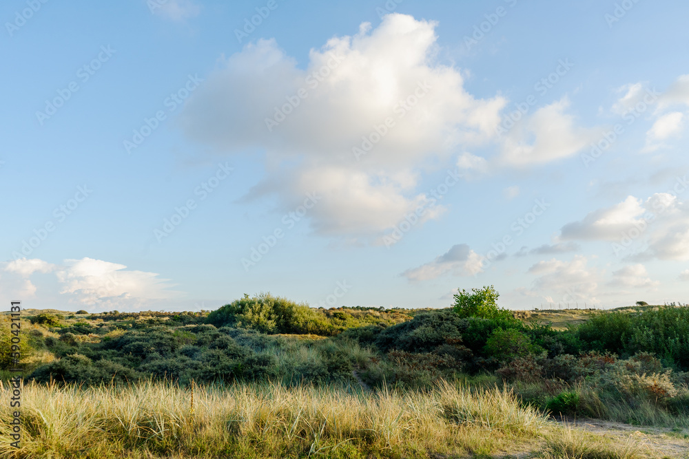 POND IN DUNES OF DUTCH COASTSIDE IN ZANDVOORT POND IN DUNES OF DUTCH COASTSIDE IN ZANDVOORT