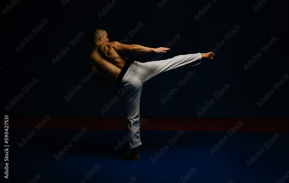 Doing the Ushiro Geri pose