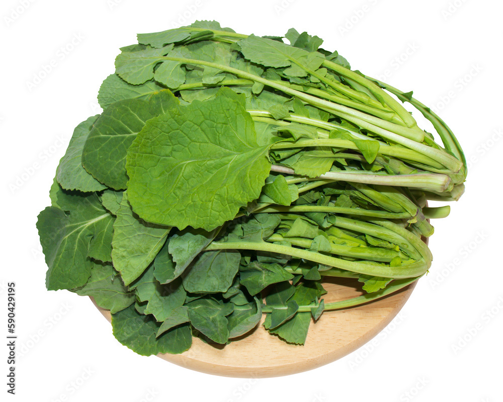 Rapeseed(canola) leafy vegetables on a round wooden cutting board isolated on a png background. Rapeseed(canola) leafy vegetables on a round wooden cutting board isolated on a png background.