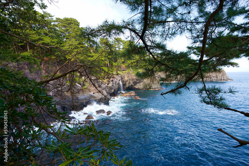 Tablou pe pânză Scenery near Izu Kogen coast on the Izu Peninsula
Travel to the tip of the Izu P