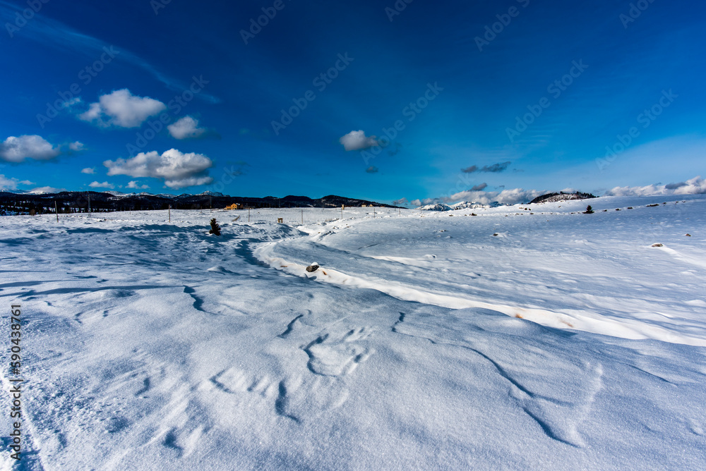 2023 01 14 Marcesina snowy landscapes 4