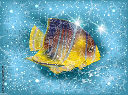 Caribbean Blue Angelfish underwater summer card, vector illustration