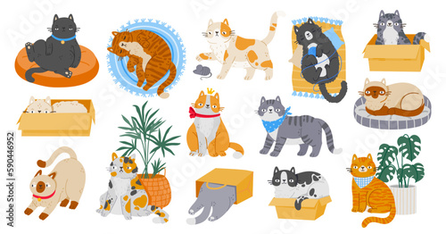 Cartoon cute pet cats character. Different kitten activities, playing with toys, sleeping on rugs and relaxing in boxes isolated on white background. Vector set