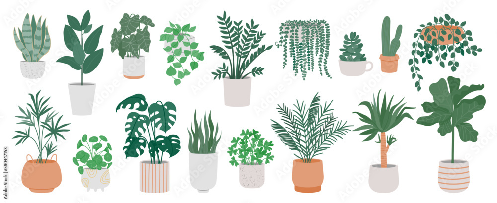 Decorative houseplants in pots. Indoor plants in flower pot, vases, basket for interior isolated on white background. Home greener. Vector set - obrazy, fototapety, plakaty 