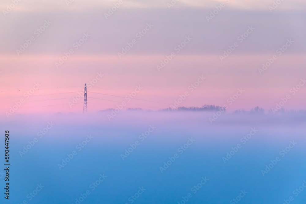 A mystical scenic view of a foggy field behind white blossoms, on an early winter day. Large electric poles and lines cover the distopian scenery.