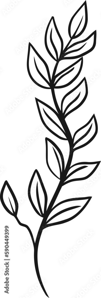 hand-drawn botanical flower and leaves hand-drawn botanical flower and leaves
