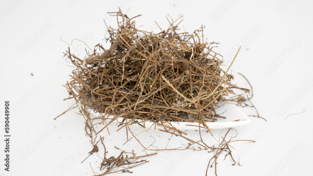 Obraz premium Dried Skunk vine/Ayurvedic Plants isolated on white background. Muthiyar Koonthal.