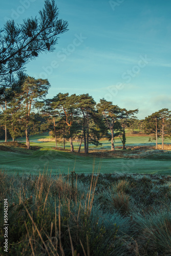 England - Dorset - landscape view of a golf course