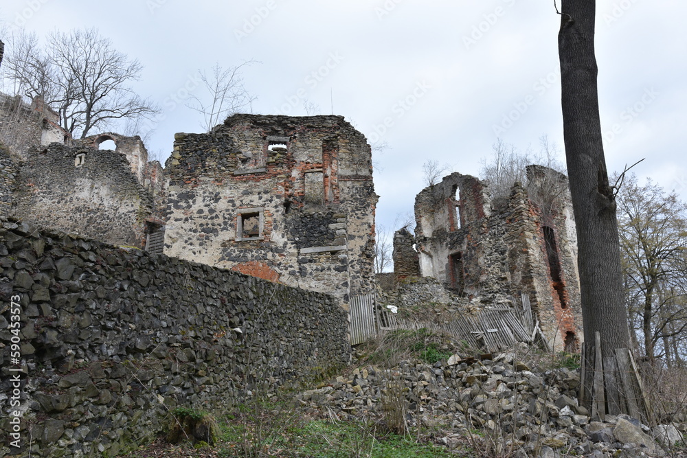 Zamek Gryf, ruiny średniowiecznej budowli we wsi Proszówka, Dolny Śląsk, Polska, - obrazy, fototapety, plakaty 