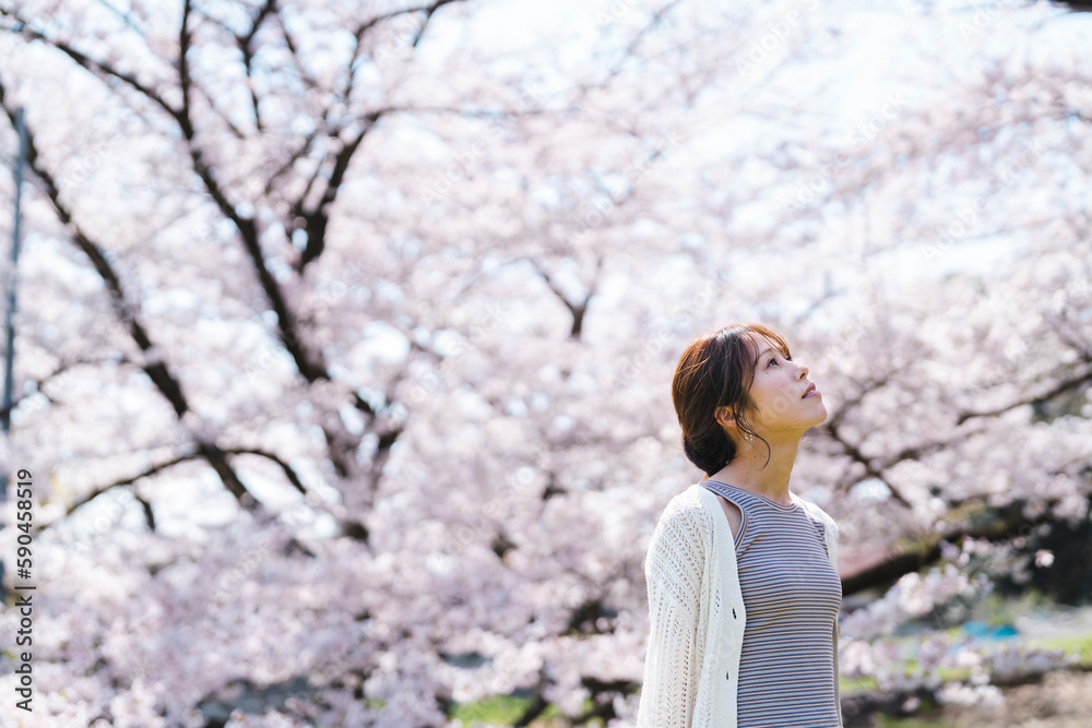 桜と女性 桜と女性
