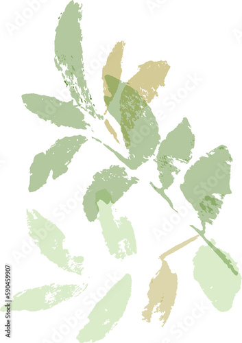 Leaves Silhouette Isolated