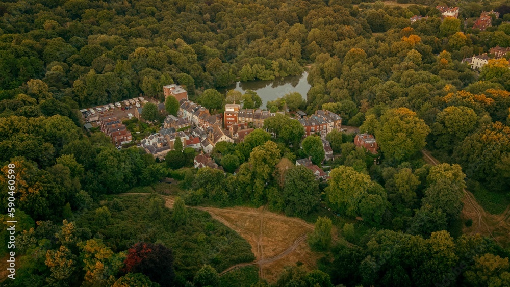 High Angle shot of the houses surrounded by forest