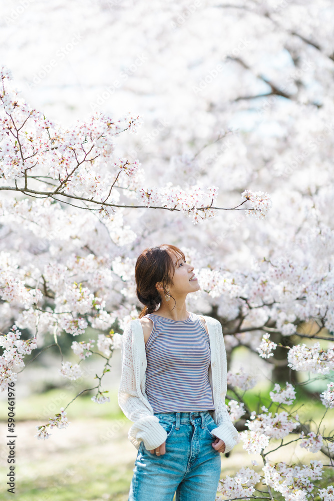 桜と女性 桜と女性