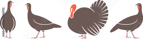 Turkey logo. Isolated turkey on white background. Bird