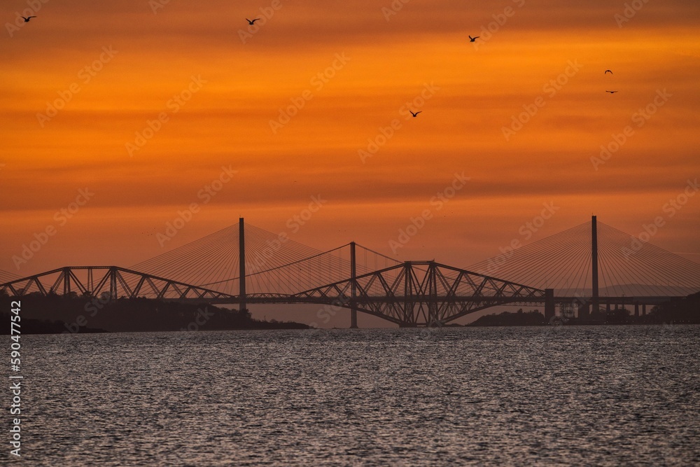 Scenic view of birds flying over the Forth Bridges on the sea at golden hour