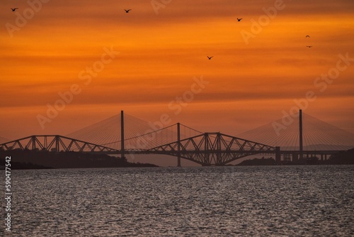 Scenic view of birds flying over the Forth Bridges on the sea at golden hour © Abphotography/Wirestock Creators