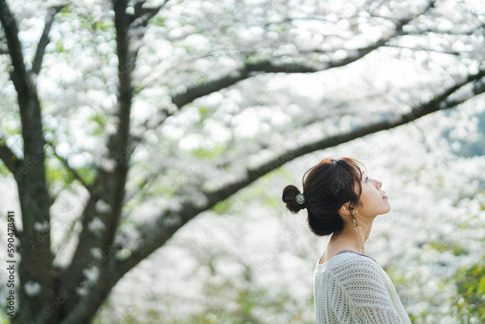 桜の花と女性 桜の花と女性
