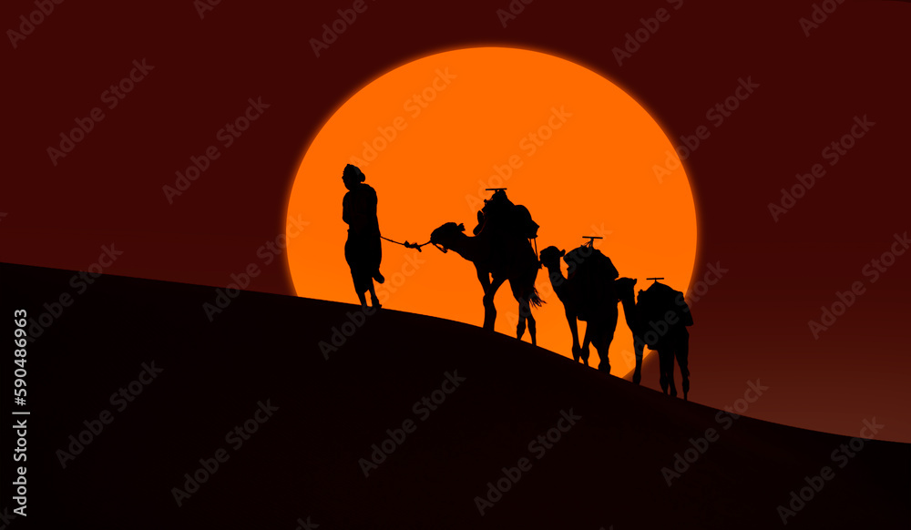 Camel caravan in the desert at sunrise -  Sahara, Morrocco