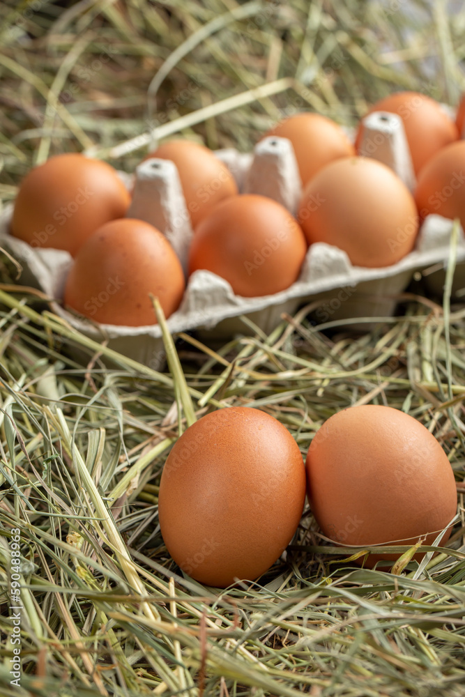 Chicken eggs in a tray and in hay.