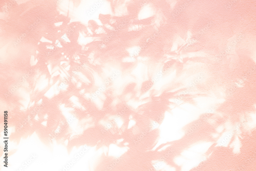 Leaf shadow and light on wall pink background. Nature tropical leaves tree branch and plant shade with sunlight from sunshine on wall texture for foliage background wallpaper, shadow overlay effect Leaf shadow and light on wall pink background. Nature tropical leaves tree branch and plant shade with sunlight from sunshine on wall texture for foliage background wallpaper, shadow overlay effect