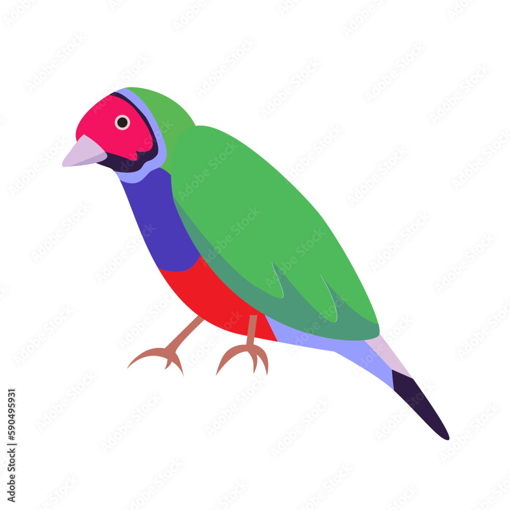 bird gouldian finch illustration