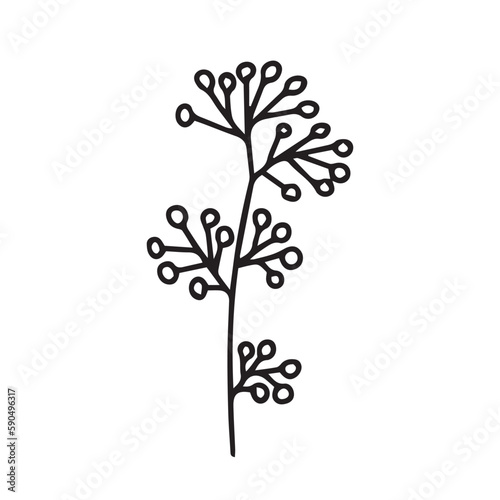 Vector winter herb with berries illustration. Hand drawn doodle plant with berries