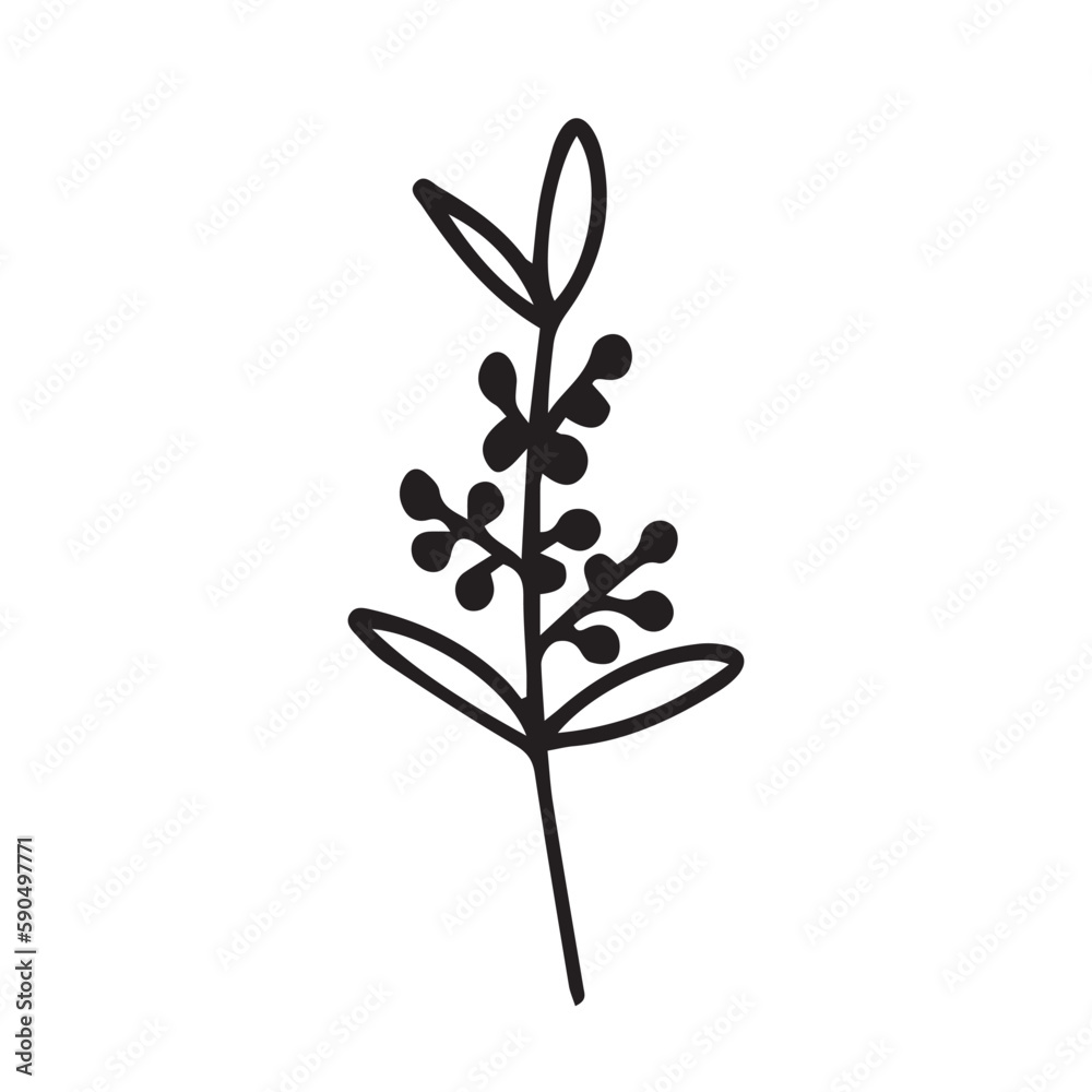 Doodle branch of winter plant with berries illustration