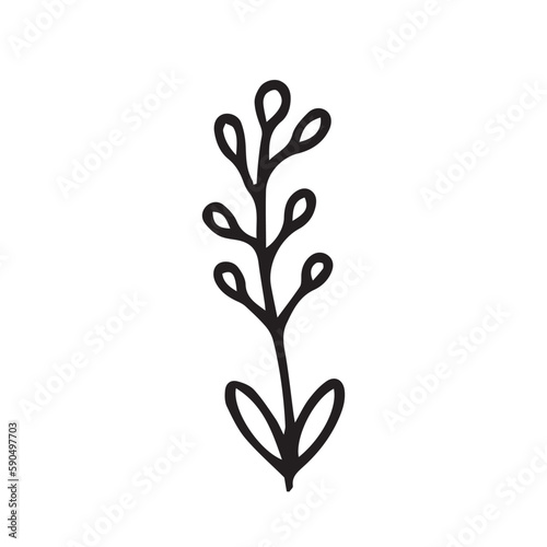 Vector winter plant with berries sketch