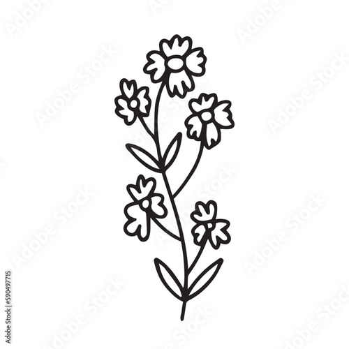 Doodle chamomile vector illustration. Hand drawn wild chamomile sketch