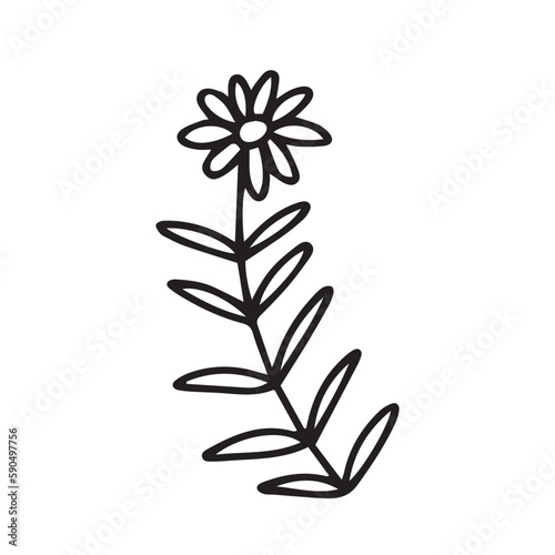 Doodle flower vector illustration. Hand drawn little flower sketch