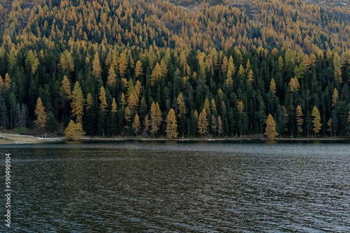 Engadin im Herbst