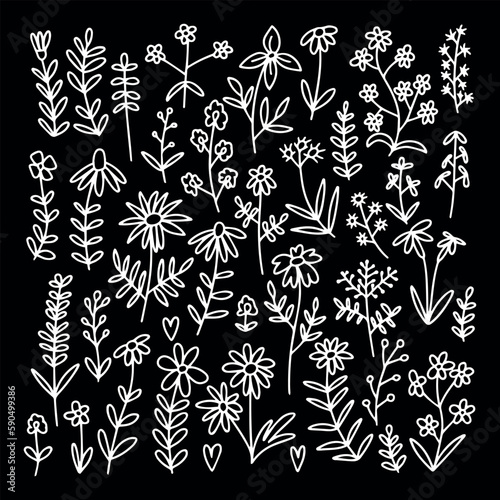 Vector doodle different kinds of flowers and herbs set. Big botanical wild flowers set