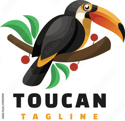 toucan bird on branch