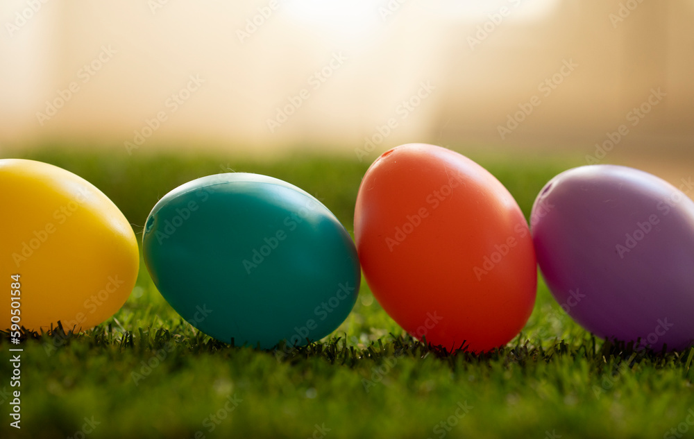 colorful eggs in grass