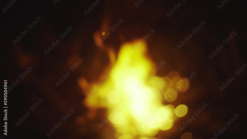 Bonfire burns at night. Fire, firewood burning in black background Bonfire burns at night. Fire, firewood burning in black background