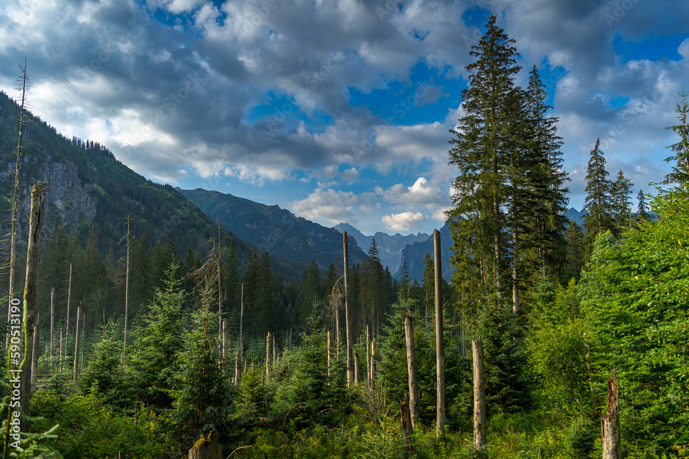 Naklejka premium Górski krajobraz w drodze nad Morskie Oko