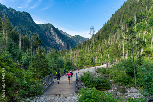 Fototapeta Naklejka Na Ścianę i Meble -  Turyści na Szlaku Zielonym w drodze do Doliny Pięciu Stawów