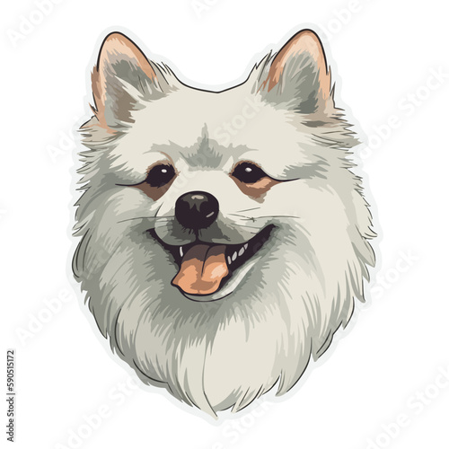German Spitz Dog Flat Icon Isolated On White Background