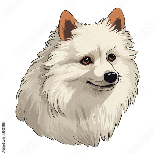 German Spitz Dog Flat Icon Isolated On White Background