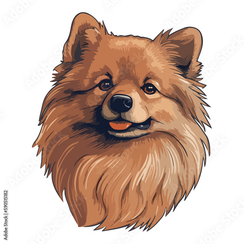 German Spitz Dog Flat Icon Isolated On White Background