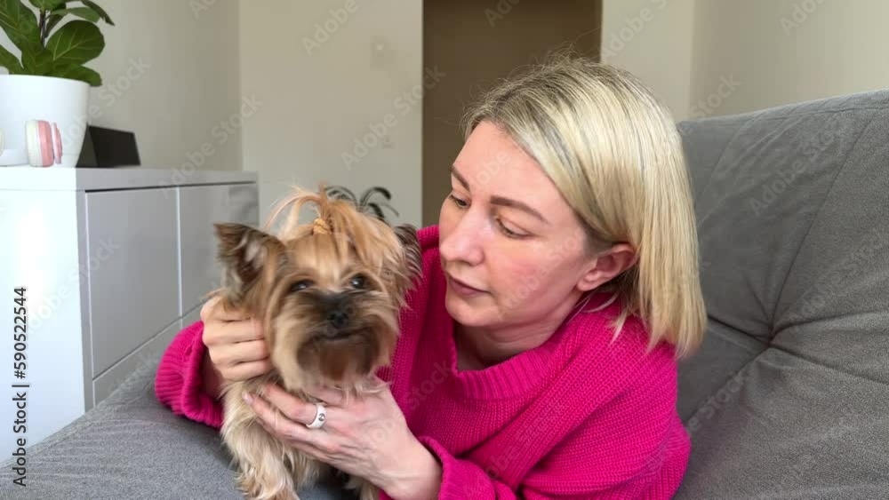 happy blonde petting her dog on the couch, hugging and chatting with her, dog and woman leisure happy blonde petting her dog on the couch, hugging and chatting with her, dog and woman leisure