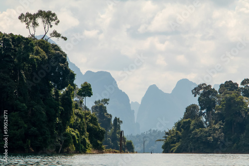 Limestone Cliffs covered in green forest in Khao Sok, Thailand 