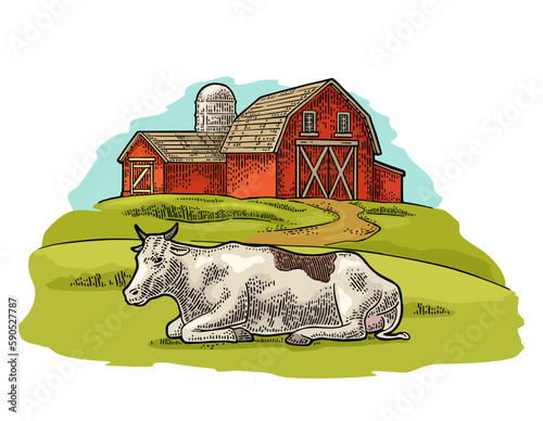 Organic farm and cow free range. Vintage vector engraving illustration