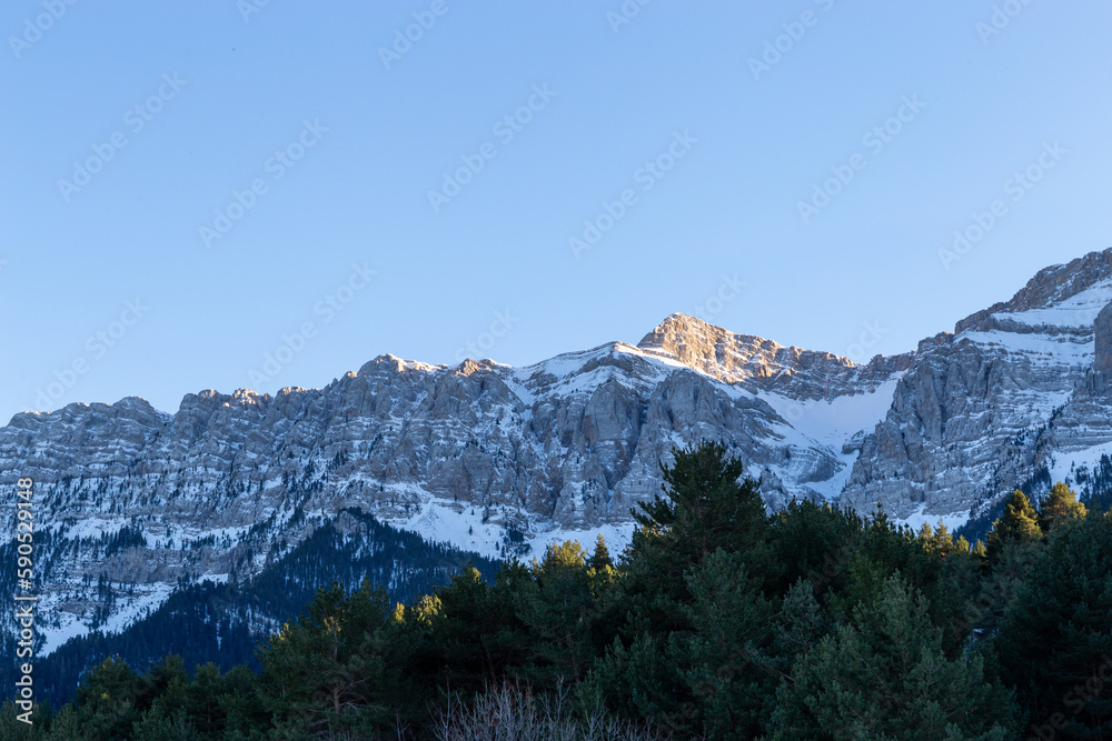 Sunset in some snowy mountains surrounded by pine forests