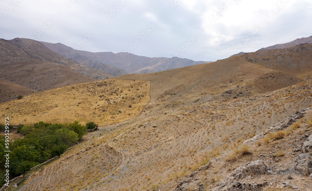 Arid steppes in Central Asia