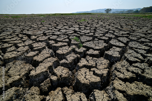 Dry land during summer season on the shores of Lake Chilika, Odisha, India.