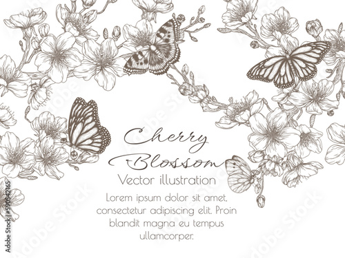 Vector illustration of blossoming cherry branches and butterflies in engraving style