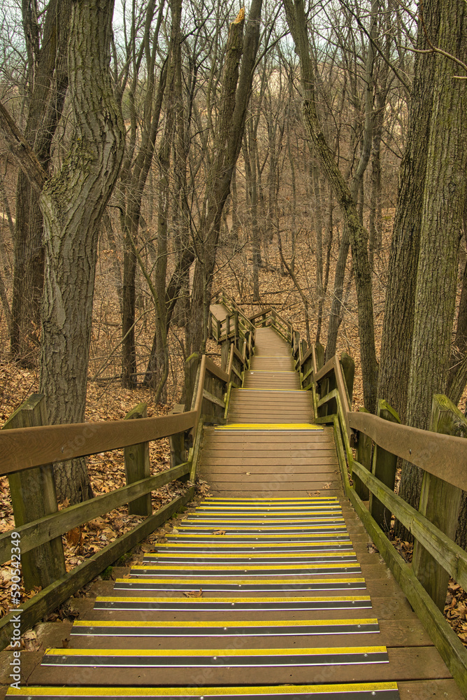 On a day in early Spring at Indiana Dunes National Park, the view descending a wooden staircase from a hilly forest of bare trees at Indiana Dunes National Park, near Chesterton, IN.