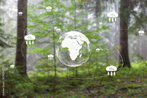 Carbon dioxide emmissions, ecology icons with earth planet on green blurred forest background. photo