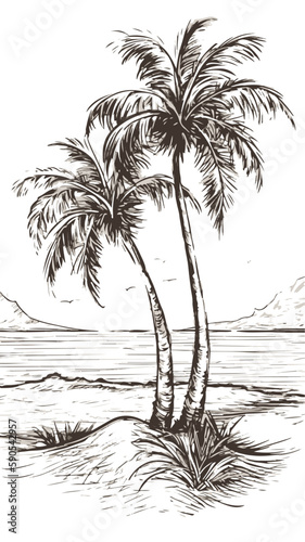 Vintage Palm Tree Drawing Hand Drawn Vector Editable